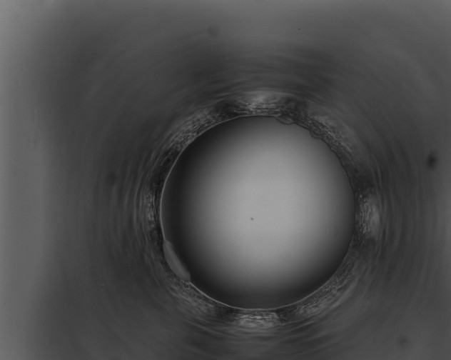 X0000097960571200804011701