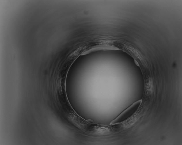 X0000097960572200804011701