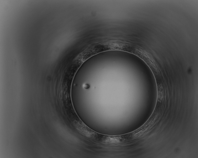 X0000097960573200804011701