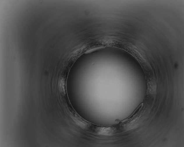 X0000097960575200804011701
