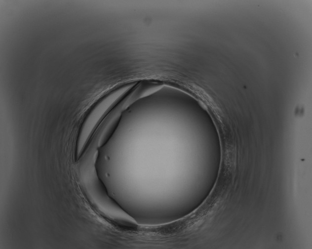 X0000097960577200804011700