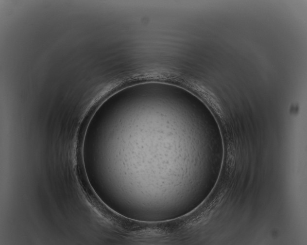 X0000097960578200804011700