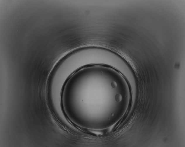 X0000097960580200804011700