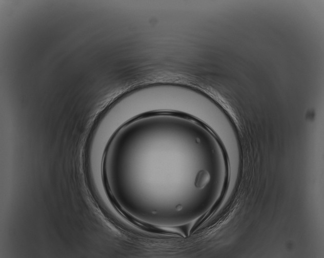 X0000097960581200804011700