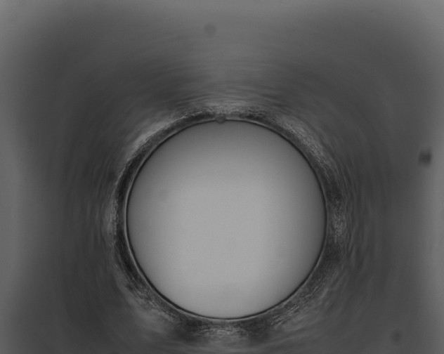 X0000097960583200804011700