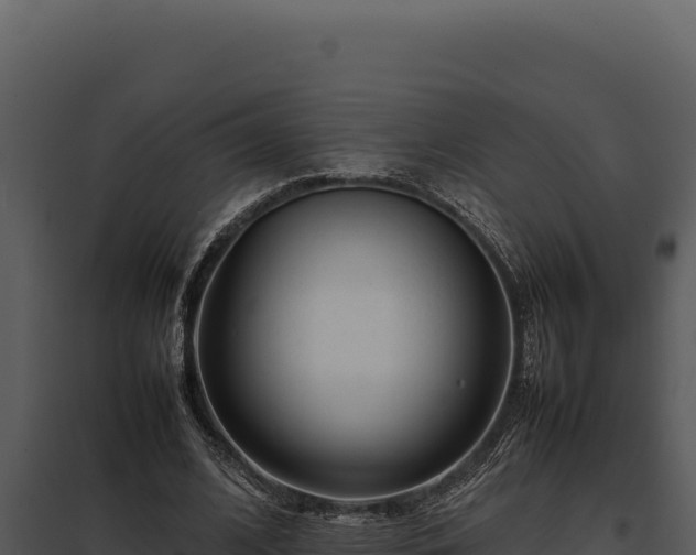 X0000097960584200804011700