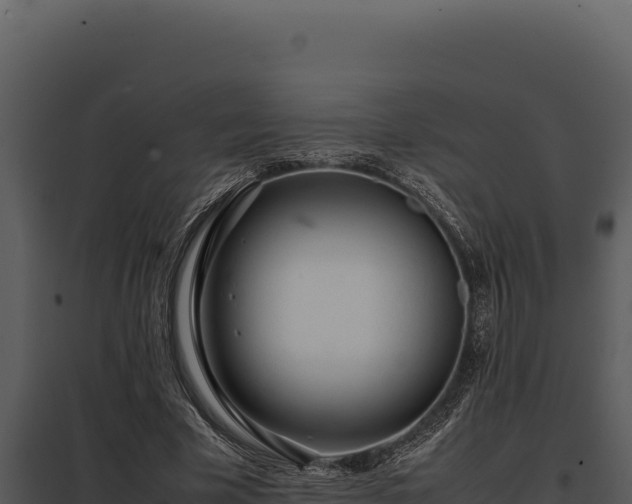X0000097960585200804011700
