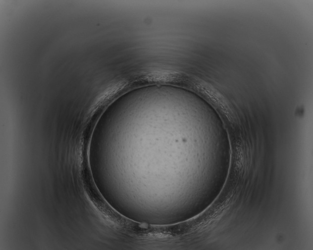 X0000097960586200804011700