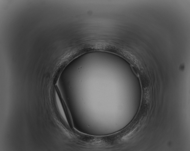 X0000097960589200804011700