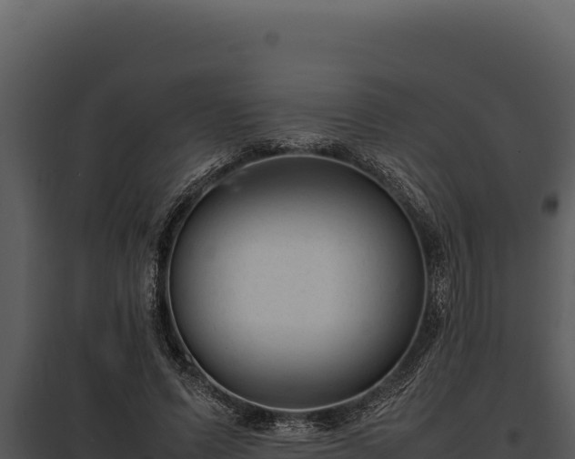 X0000097960591200804011700