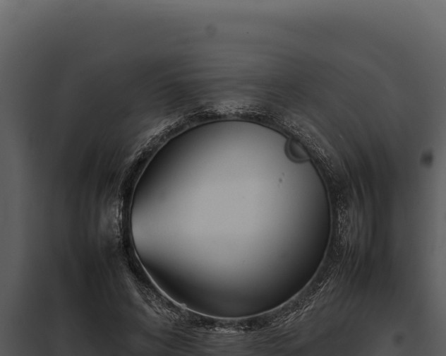 X0000097960592200804011700