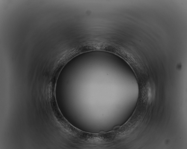 X0000097960594200804011700