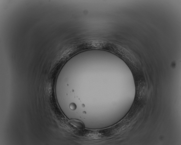 X0000097960595200804011700