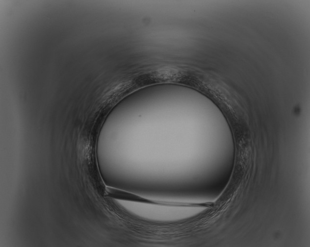 X0000097960597200804011700