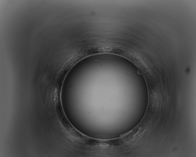 X0000097960598200804011700