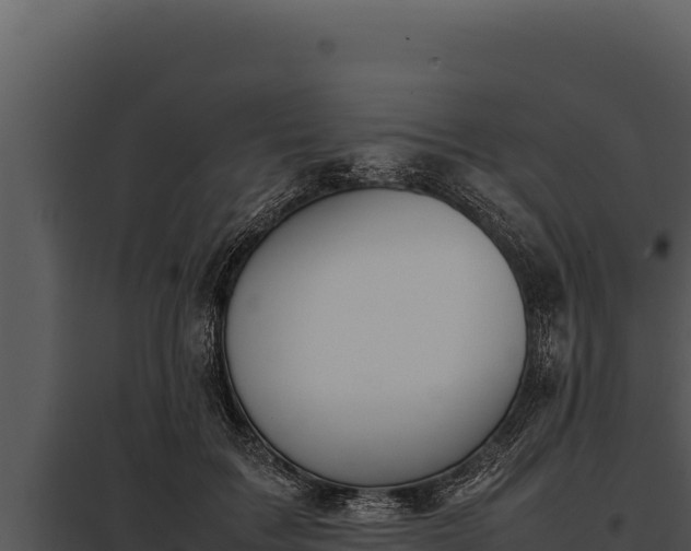 X0000097960603200804011700