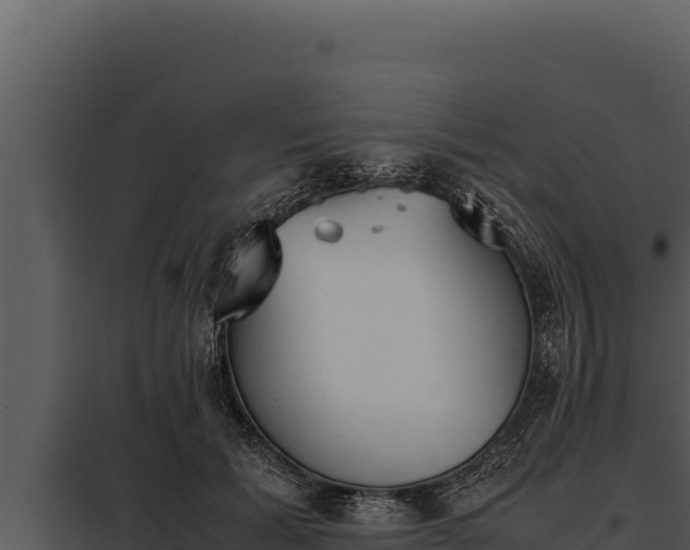 X0000097960605200804011700