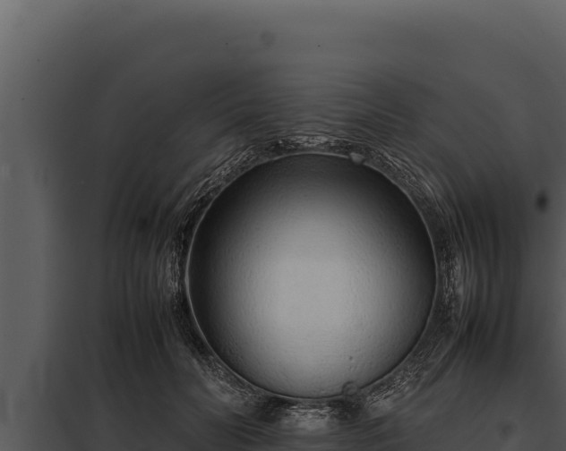 X0000097960606200804011700