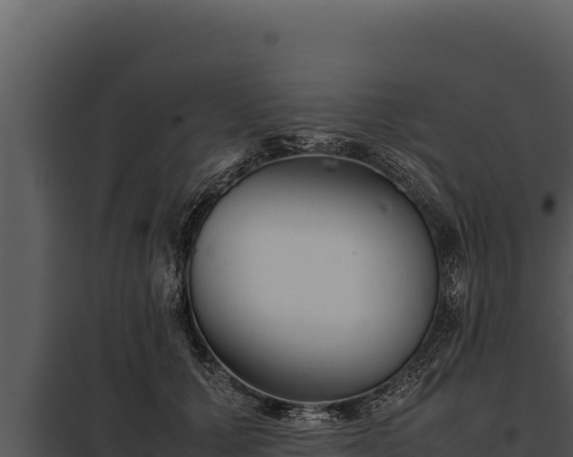 X0000097960607200804011700