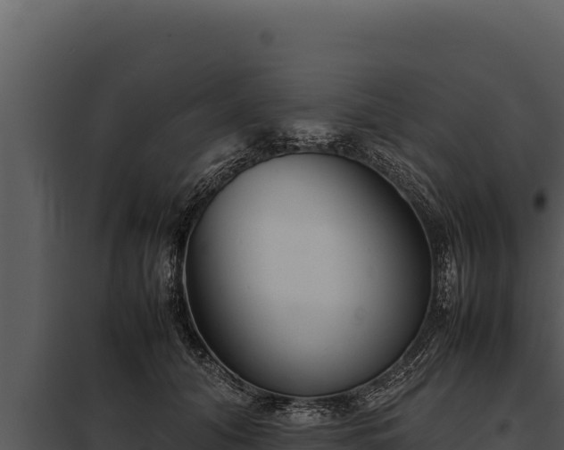 X0000097960608200804011700