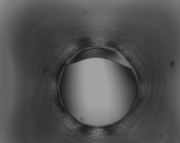 X0000097960609200804011700