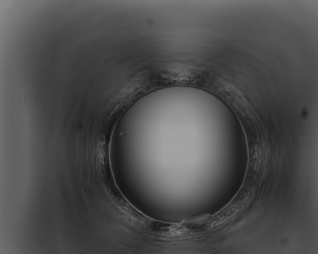X0000097960612200804011659