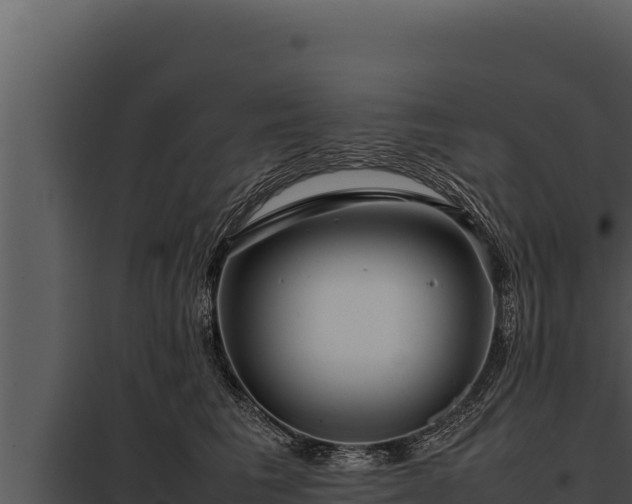 X0000097960613200804011659