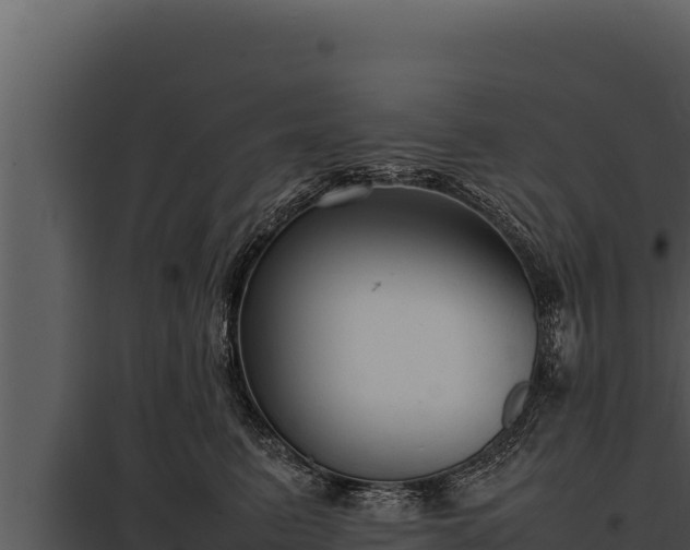 X0000097960615200804011659