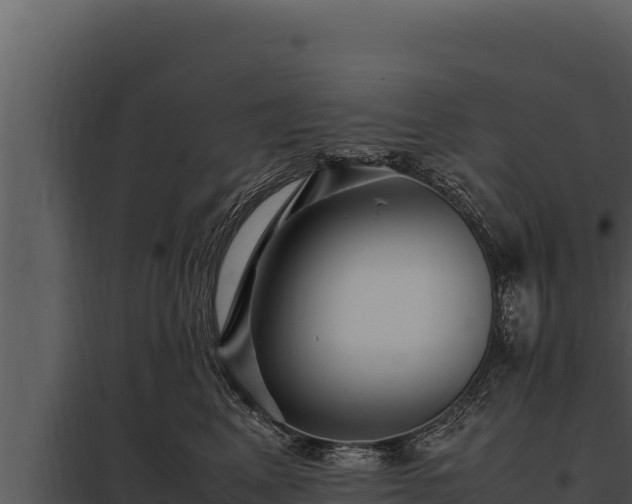X0000097960617200804011659