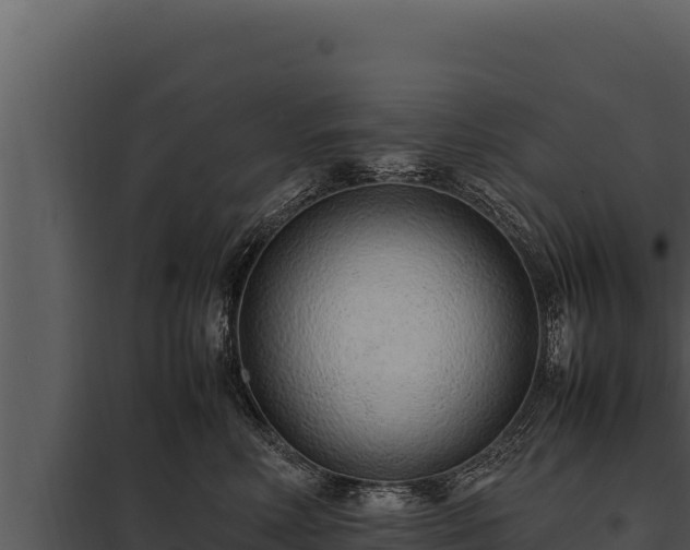 X0000097960618200804011659