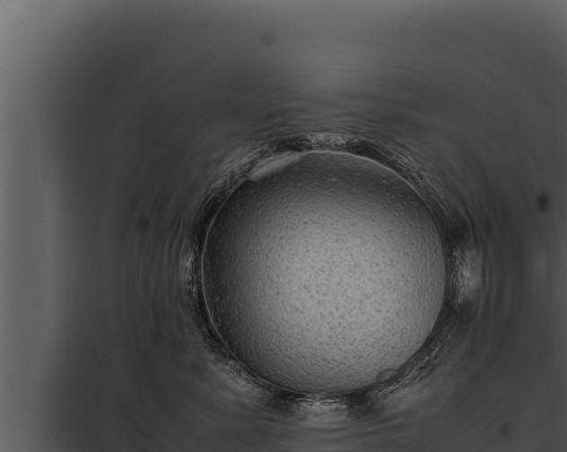 X0000097960619200804011659