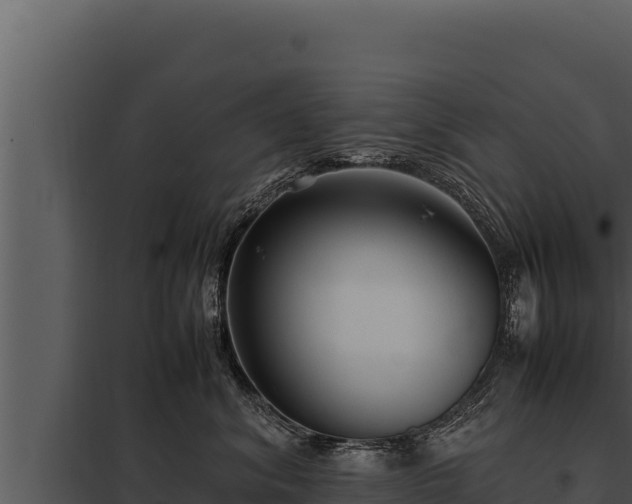 X0000097960620200804011659