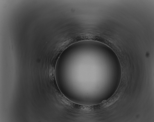 X0000097960624200804011659