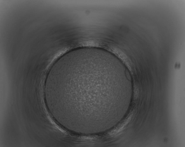 X0000097960625200804011658