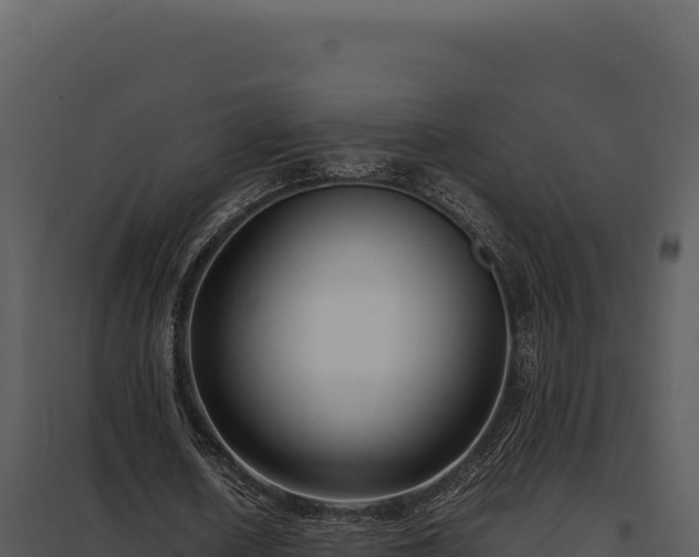 X0000097960626200804011659
