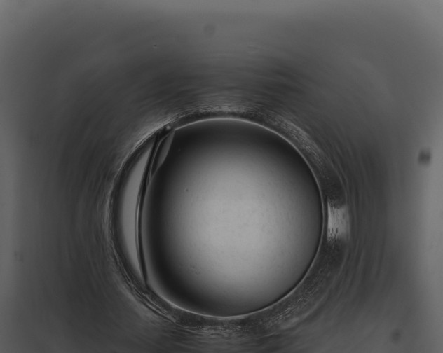 X0000097960627200804011659