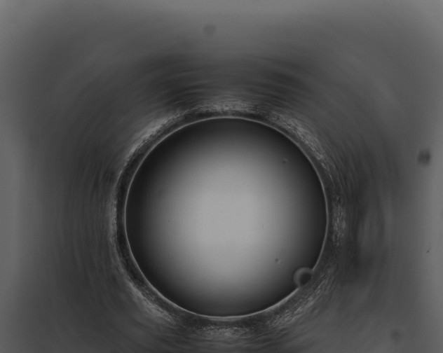 X0000097960629200804011659