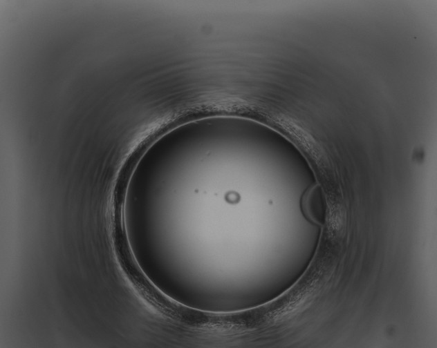X0000097960630200804011659