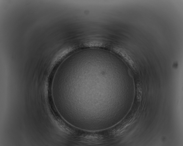 X0000097960631200804011659