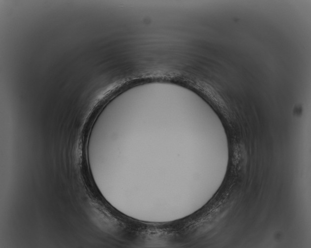 X0000097960632200804011659
