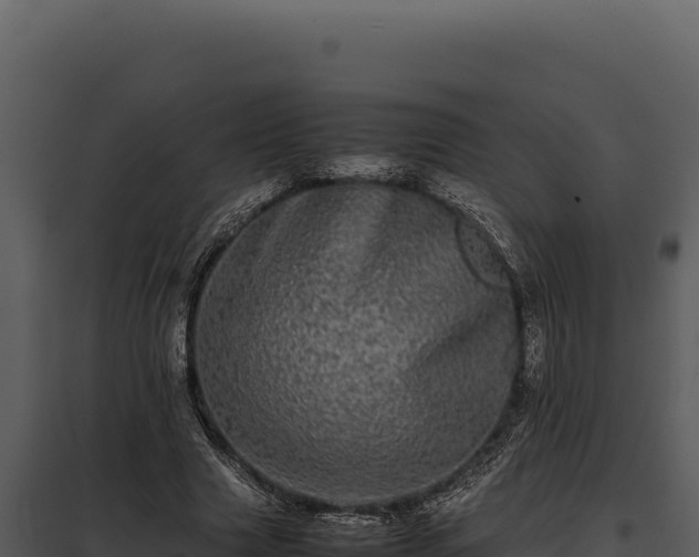 X0000097960633200804011659