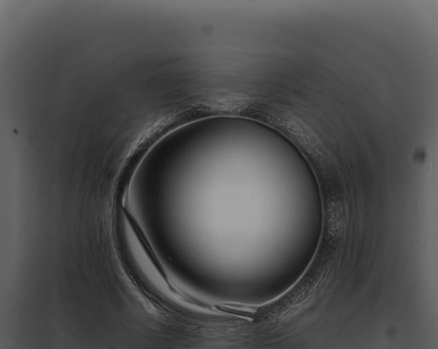 X0000097960634200804011659