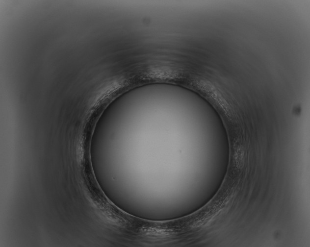 X0000097960635200804011659