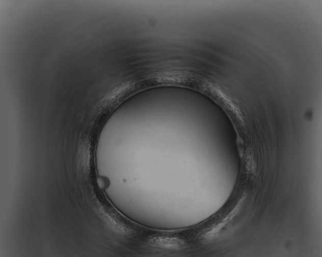 X0000097960637200804011659