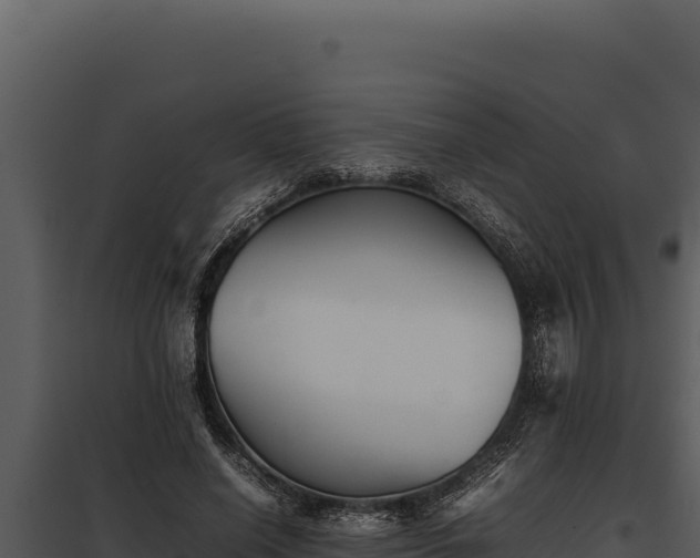 X0000097960638200804011659