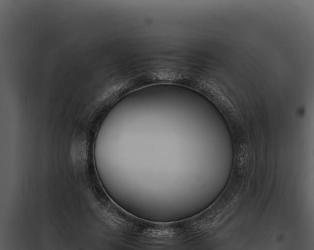 X0000097960639200804011659