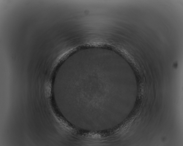 X0000097960640200804011659