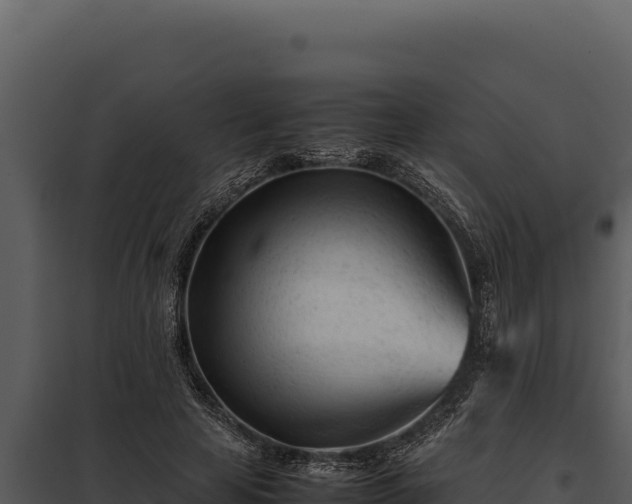 X0000097960641200804011659