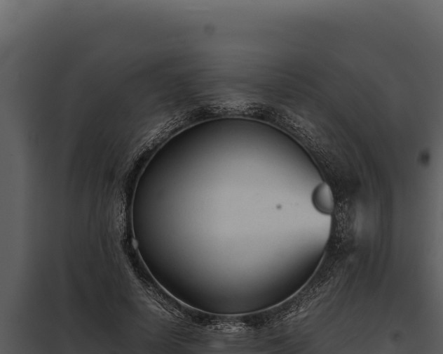 X0000097960642200804011659