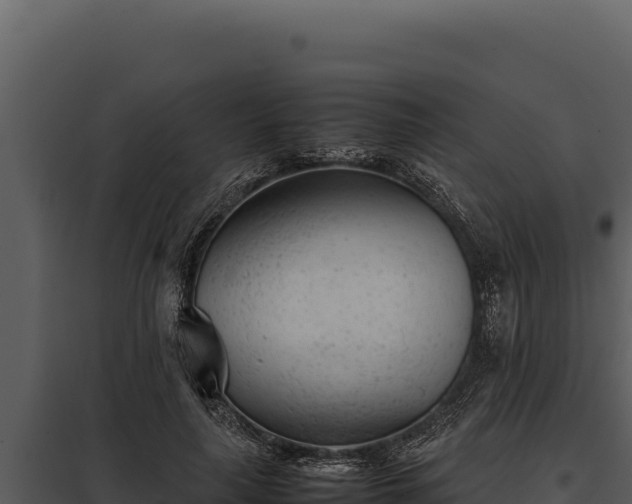 X0000097960643200804011659